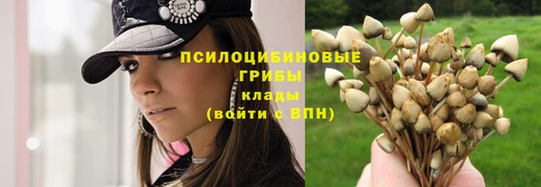 скорость Киреевск