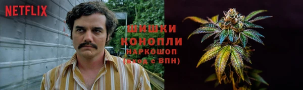 гашик Кинешма