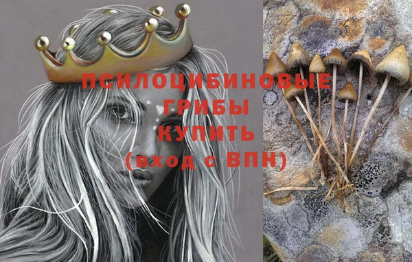 прущие грибы Киренск
