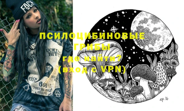 прущие грибы Карпинск