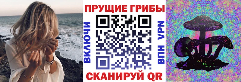 это какой сайт  Киренск  Галлюциногенные грибы прущие грибы  где купить наркоту 